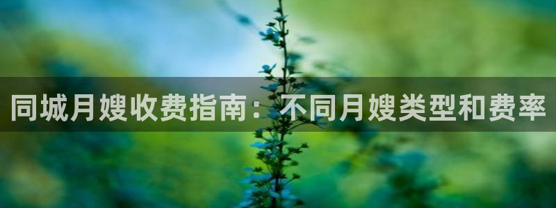 杏悦平台登录入口官网