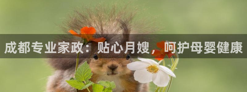 杏悦官网登录入口网址