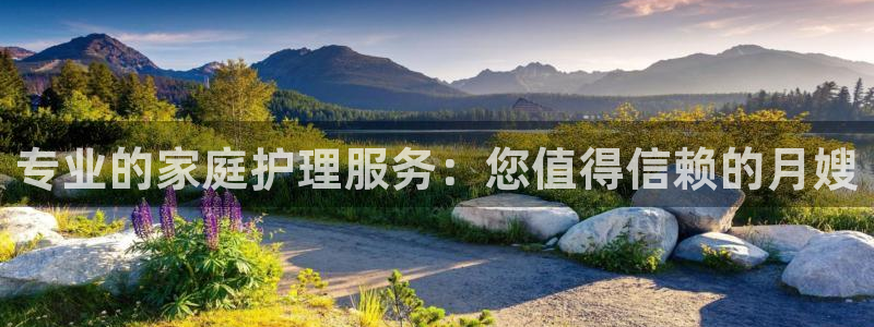 杏悦平台注册流程