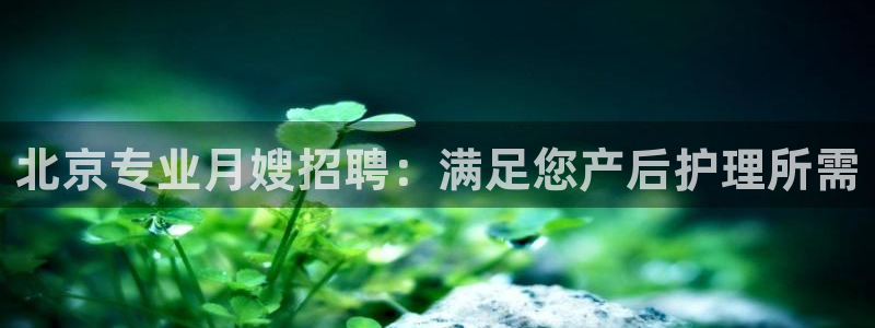 杏悦平台招商怎么样