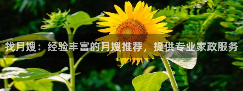 杏悦官网注册信息在哪里查看