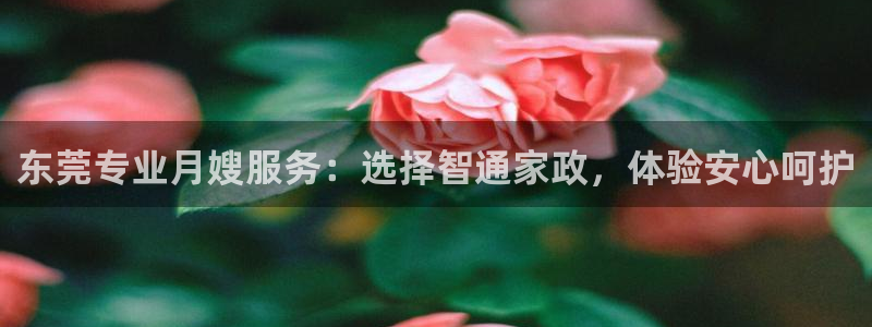 杏悦官网登录入口网址是什么