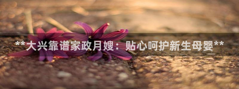 杏悦官网登录