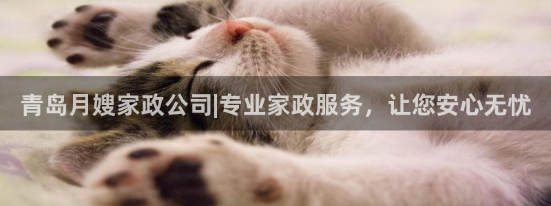 杏悦平台主管