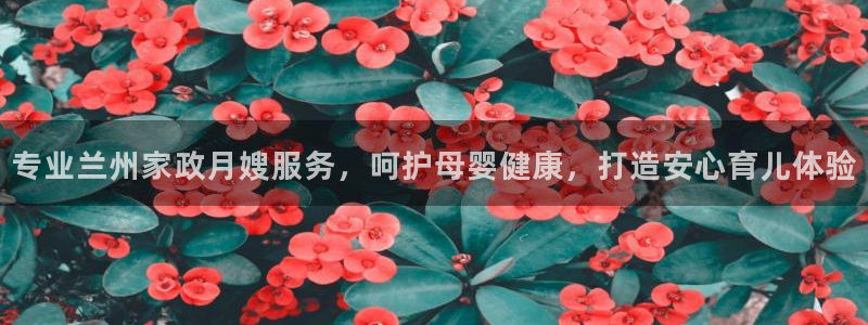 杏悦平台主管