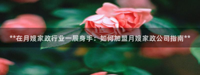 杏悦t首选推荐平台