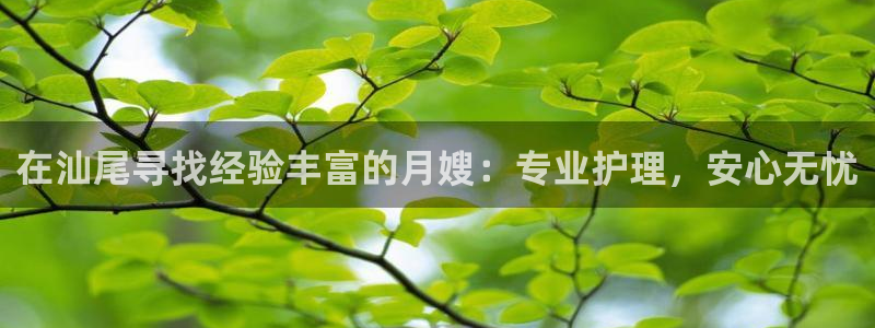 杏悦官方平台是正品吗