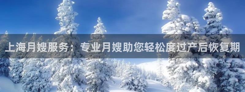 杏悦平台代理注册流程