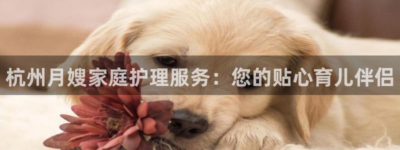 杏悦平台开户地址是什么