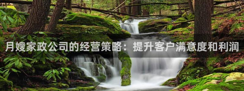 杏悦官方平台