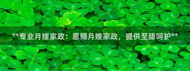 杏悦平台代理注册多少钱