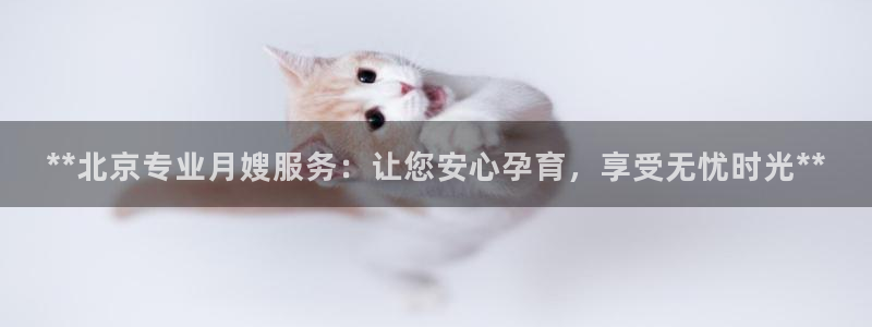 杏悦平台代理怎么样