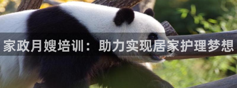 杏悦平台注册网址