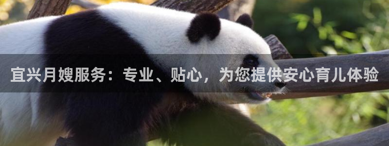 杏悦平台官网注册账号