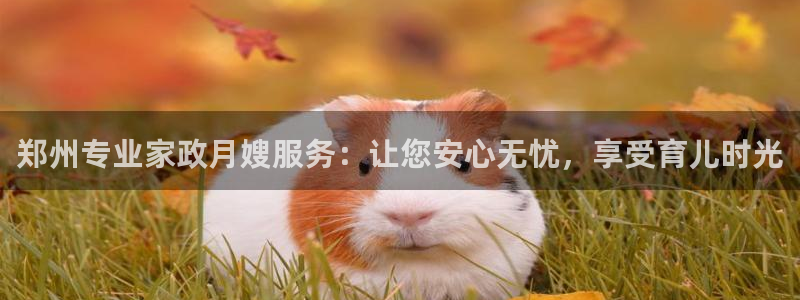 杏悦平台如何注册账号