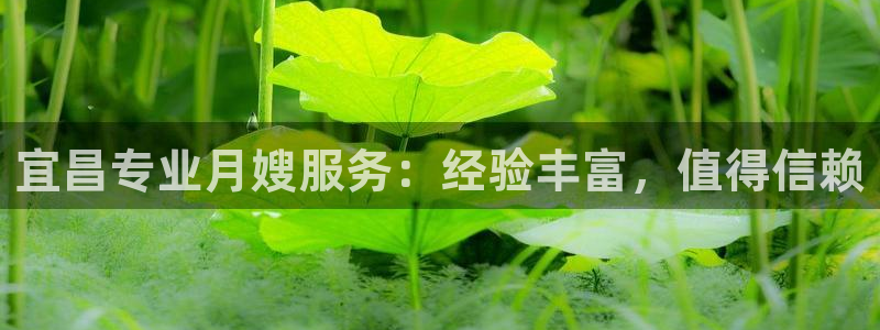 杏悦平台注册要钱吗