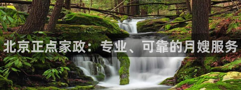 杏悦平台代理注册要钱吗