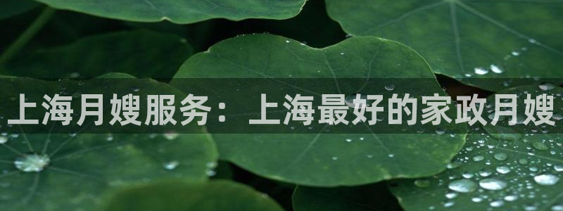 杏悦娱乐注册平台怎么样