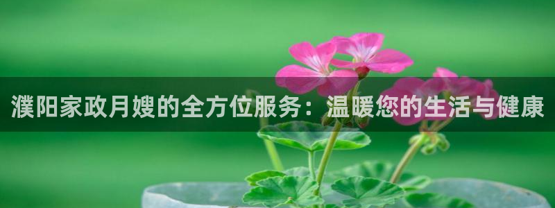 杏悦平台招商