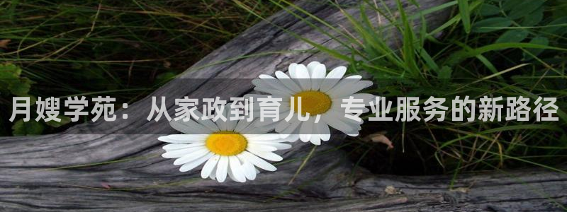 杏悦平台登录网址