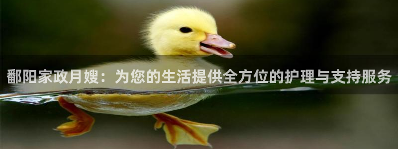 杏悦平台注册网址