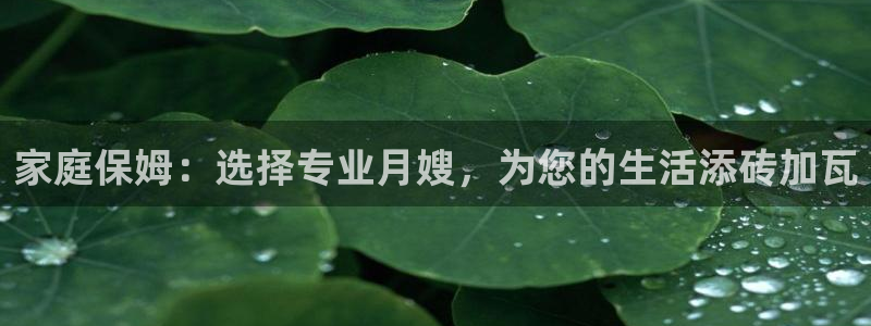 杏悦登录网址是什么