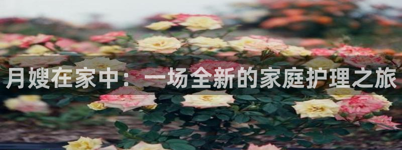 杏悦平台开户地址