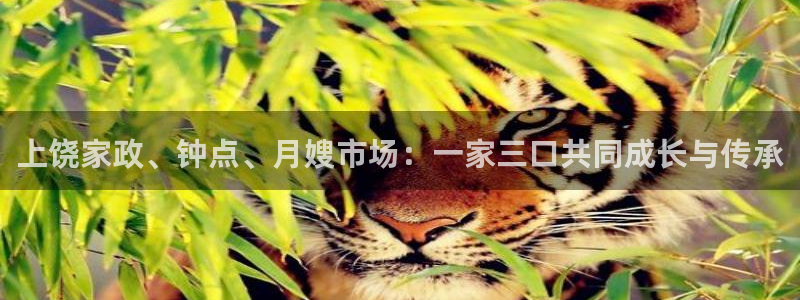 杏悦平台代理怎么样赚钱