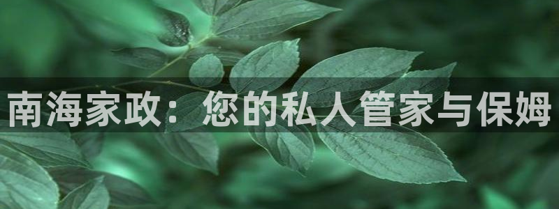 杏悦平台招商电话