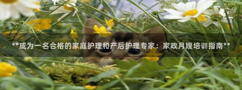 杏悦平台注册流程