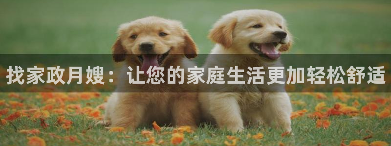 杏悦平台如何