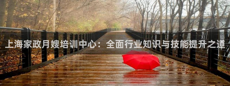 杏悦平台代理怎么赚钱快