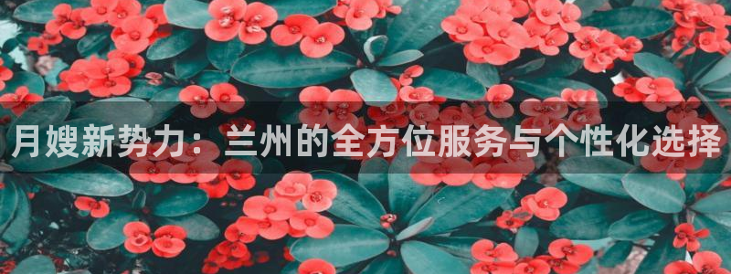 杏悦平台登录网址查询