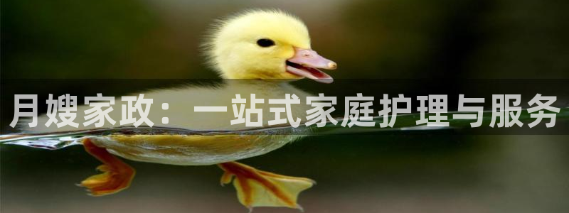 杏悦平台开户地址怎么改