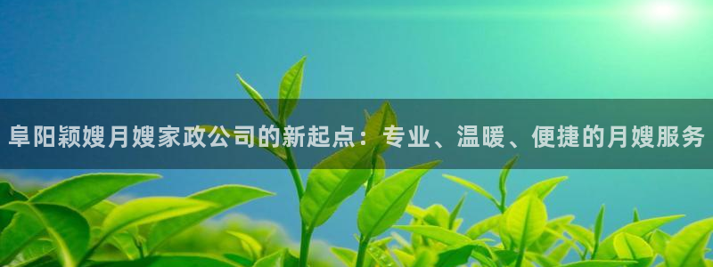 杏悦平台代理怎么样