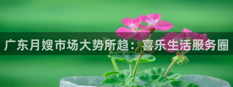 杏悦官网登录入口网址是多少