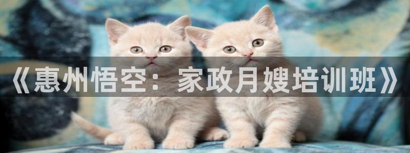 杏悦平台