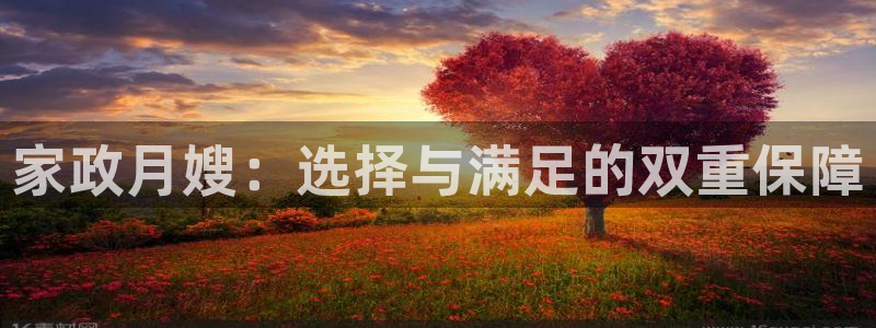 杏悦官方平台官网入口