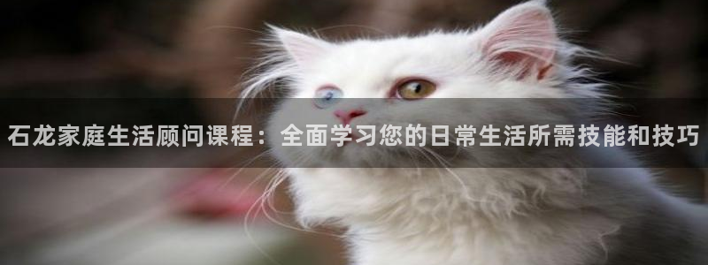 杏悦平台登录网址是什么