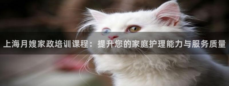 杏悦平台可靠吗是真的吗
