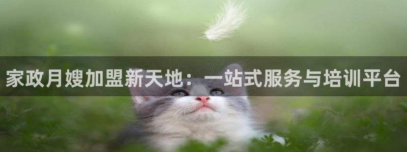 杏悦平台官网注册账号