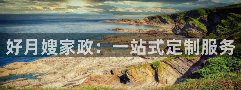 杏悦平台代理注册流程