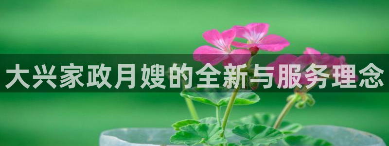 杏悦官网