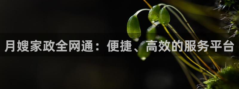杏悦官方平台官网首页