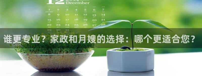 杏悦平台代理怎么赚钱