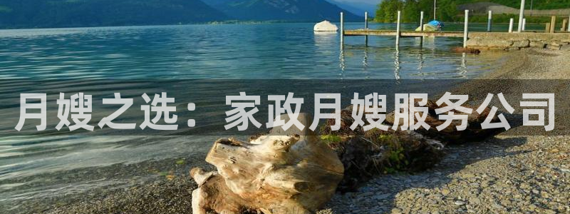 杏悦平台代理注册