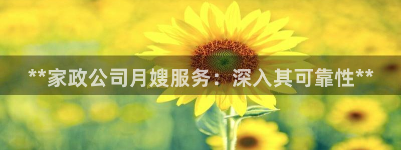 杏悦平台代理怎么赚钱的