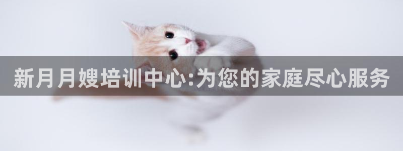 杏悦平台地址