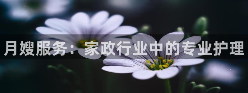 杏悦平台代理怎么样啊