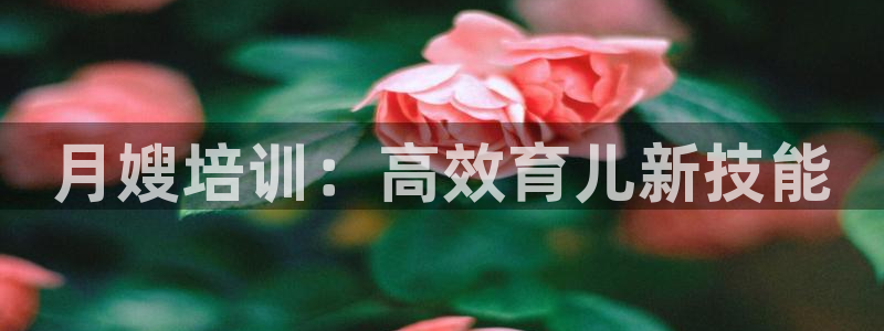 杏悦平台登录网址